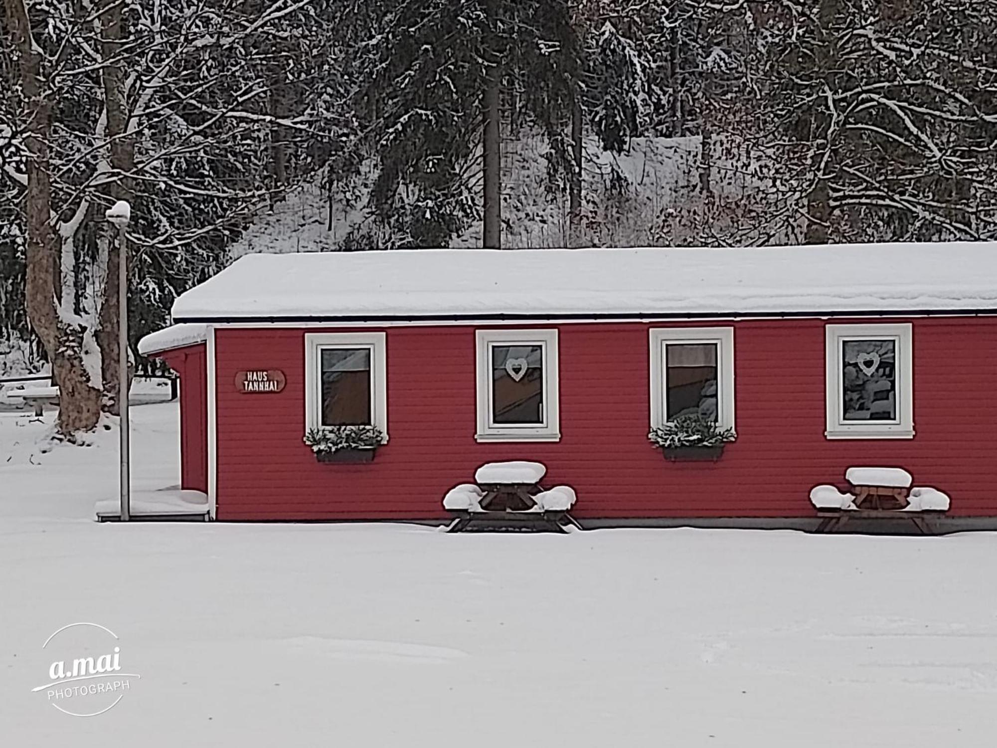 Harzklub Wanderheim Apartamento Wildemann Exterior foto