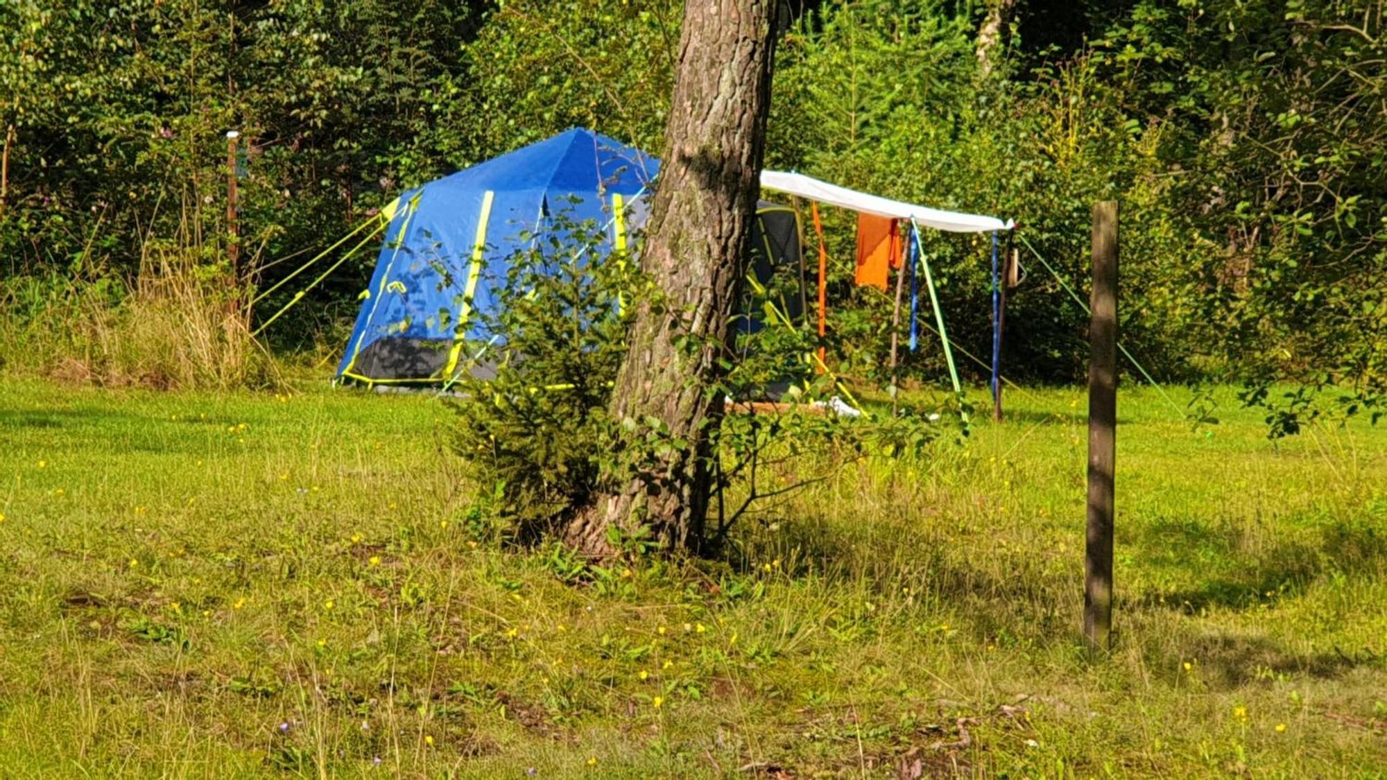 Harzklub Wanderheim Apartamento Wildemann Exterior foto